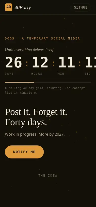 Live site — mobile (390px)